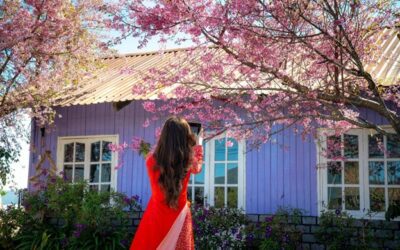 The Science Behind Hair Growth